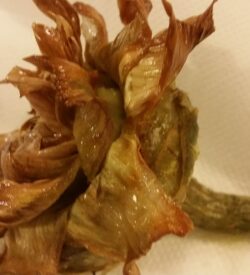 LA CUCINA REGIONALE ITALIANA